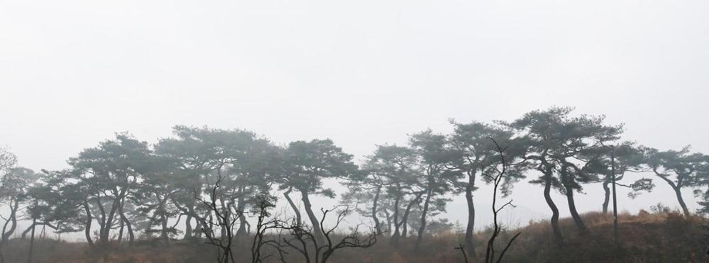 Hamyang Namgye Ilodang Hanok Stay חדר תמונה